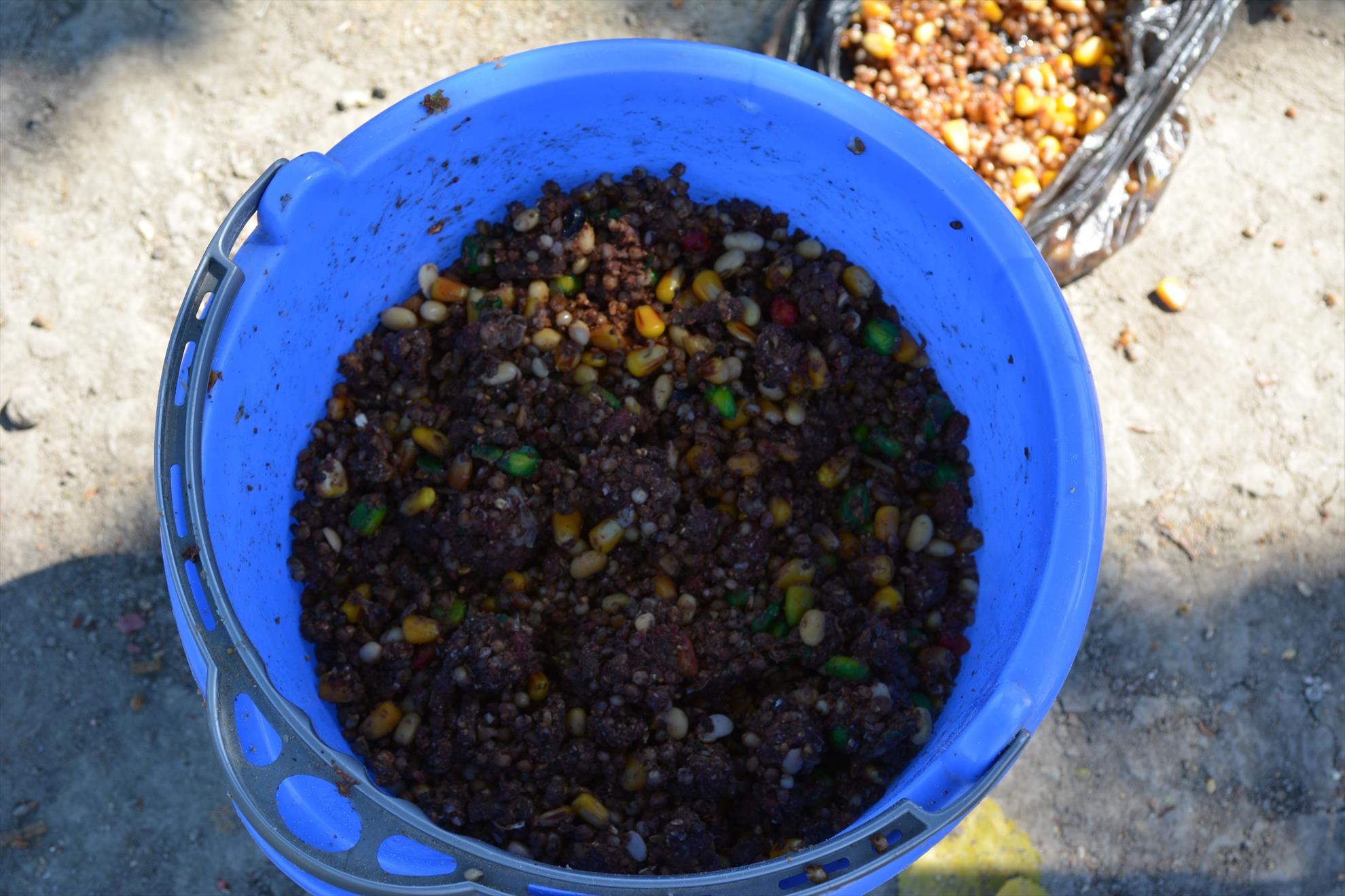 Cupa Debuntatilor  - Hermes Peris - dsc01011111.JPG